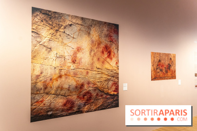 Picasso et la Préhistoire, les photos de l'exposition au Musée de l'Homme