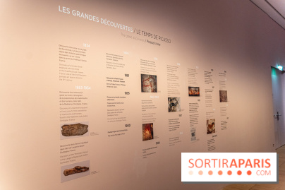 Picasso et la Préhistoire, les photos de l'exposition au Musée de l'Homme