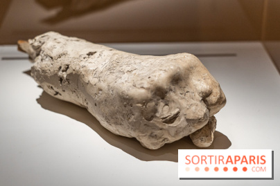 Picasso et la Préhistoire, les photos de l'exposition au Musée de l'Homme