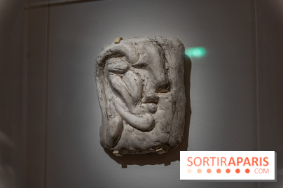 Picasso et la Préhistoire, les photos de l'exposition au Musée de l'Homme