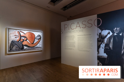 Picasso et la Préhistoire, les photos de l'exposition au Musée de l'Homme