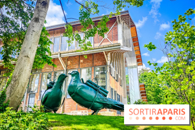 Le Hangar Y à Meudon, nos photos - IMG20240515134146