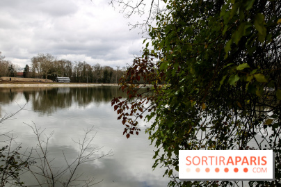 Le Hangar Y à Meudon, nos photos - IMG 8876