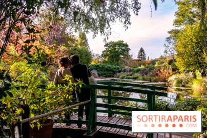 Saint-Valentin visuel saint Valentin - couple