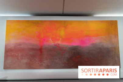 Exposition Avant l'orage à la Bourse de Commerce - Pinault Collection - urgence climatique