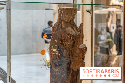 Exposition Avant l'orage à la Bourse de Commerce - Pinault Collection - urgence climatique
