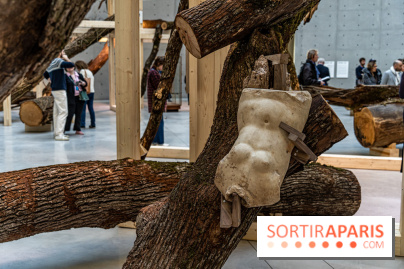 Exposition Avant l'orage à la Bourse de Commerce - Pinault Collection - urgence climatique