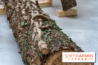 Exposition Avant l'orage à la Bourse de Commerce - Pinault Collection - urgence climatique