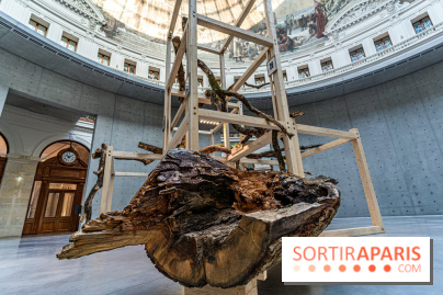 Exposition Avant l'orage à la Bourse de Commerce - Pinault Collection - urgence climatique