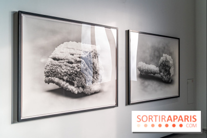 Exposition Avant l'orage à la Bourse de Commerce - Pinault Collection - urgence climatique