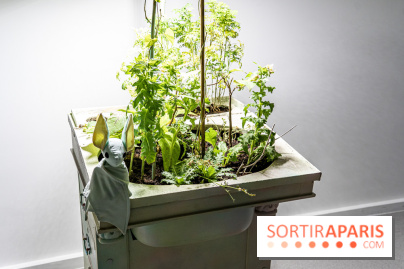 Exposition Avant l'orage à la Bourse de Commerce - Pinault Collection - urgence climatique