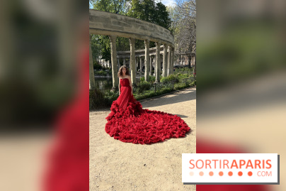 Flying Dress, le shooting photo en robe de princesses - FullSizeRender 2