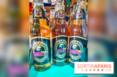 La boutique aux 2 balais, le spot magique et gourmand de Bercy Village - IMG20230210103159