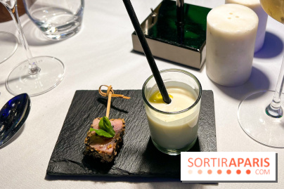 Soirée burlesque - Hôtel Paris j'Adore  - image00008