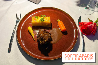 Soirée burlesque - Hôtel Paris j'Adore  - image00019