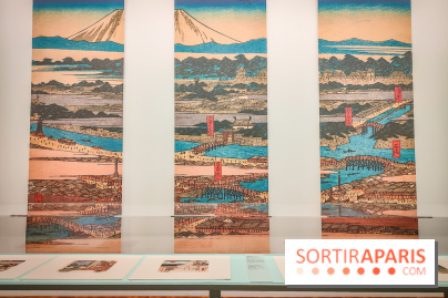 Hiroshige et l'éventail : voyage au Japon du XIXe siècle avec la sublime exposition du musée Guimet  - IMG20230214103427