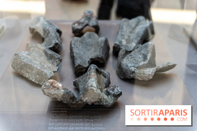 Exposition Notre-Dame de Paris - des bâtisseurs aux restaurateurs - Cité de l'Architecture -  A7C2741