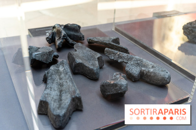 Exposition Notre-Dame de Paris - des bâtisseurs aux restaurateurs - Cité de l'Architecture -  A7C2743