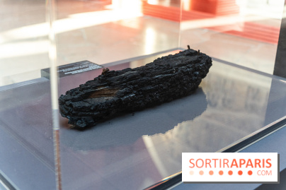 Exposition Notre-Dame de Paris - des bâtisseurs aux restaurateurs - Cité de l'Architecture -  A7C2744