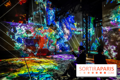 Chagall, Paris-New York, l'exposition immersive inédite de l'Atelier des Lumières - photos - IMG20230216093802