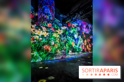 Chagall, Paris-New York, l'exposition immersive inédite de l'Atelier des Lumières - photos