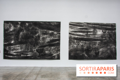 Exposition Ma Pensée Sérielle Miriam Cahn Palais de Tokyo