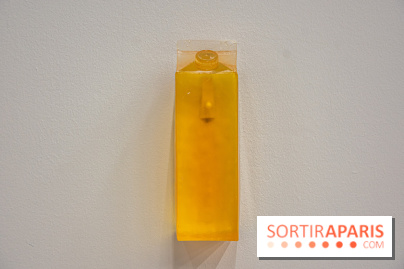 Exposition Exposé.es Palais de Tokyo Sida