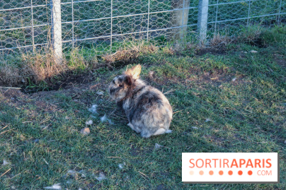 Fermes de Gally - Saint Denis - 2519A350 9450 4D01 A9DD 1475E42E0FC0