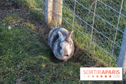 Fermes de Gally - Saint Denis - 7B906E6E 980C 475A 9B78 F3CD0CA64222