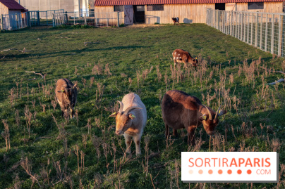 Fermes de Gally - Saint Denis - ED9AAD72 02C7 4C56 B502 2B079F42EDDF