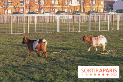 Fermes de Gally - Saint Denis - 85C3BDAD BB0B 44C8 8936 D4F8178C2E94