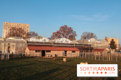 Fermes de Gally - Saint Denis - D552C605 417B 4032 A534 023325AFA580