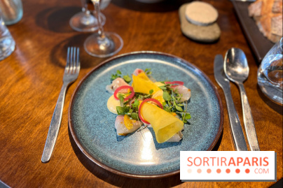 Perception - Sashimi daurade et tarama