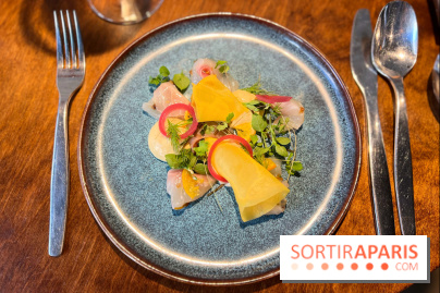 Perception - Sashimi daurade et tarama