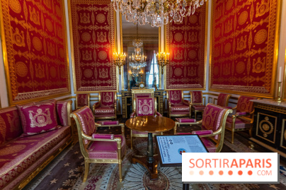 Château de Fontainebleau - Napoléon III et Eugénie -  A7C4115