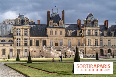 Château de Fontainebleau - Napoléon III et Eugénie -  A7C4211