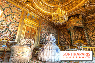 Château de Fontainebleau - Napoléon III et Eugénie