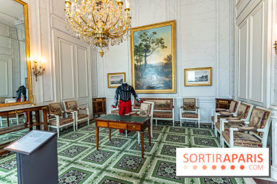 Château de Fontainebleau - Napoléon III et Eugénie -  A7C4116