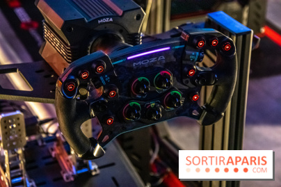 Sim Drivers volant formule 1