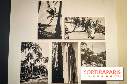Matisse au musée de l'Orangerie : une exposition focus sur les années 1930 du peintre - nos photos