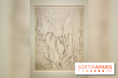 Matisse au musée de l'Orangerie : une exposition focus sur les années 1930 du peintre - nos photos - IMG20230301155735