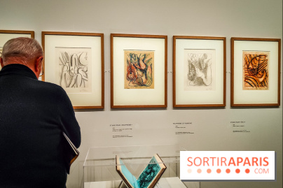 Matisse au musée de l'Orangerie : une exposition focus sur les années 1930 du peintre - nos photos - IMG20230301155657