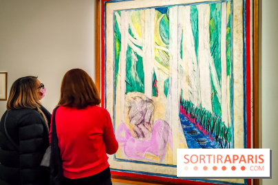 Matisse au musée de l'Orangerie : une exposition focus sur les années 1930 du peintre - nos photos - IMG20230301155637