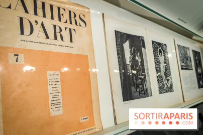 Matisse au musée de l'Orangerie : une exposition focus sur les années 1930 du peintre - nos photos - IMG20230301160553