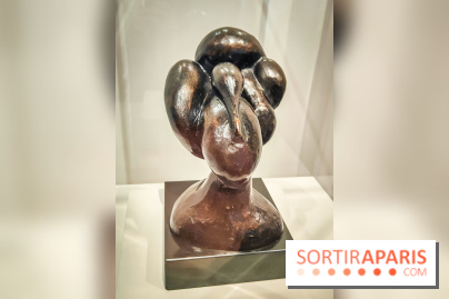 Matisse au musée de l'Orangerie : une exposition focus sur les années 1930 du peintre - nos photos - IMG20230301155415