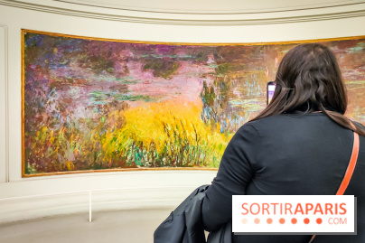 Musée de l'Orangerie - Nymphéas Monet