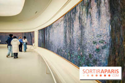 Musée de l'Orangerie - Nymphéas Monet