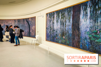 Musée de l'Orangerie - Nymphéas Monet