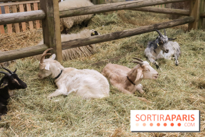 Salon de l'agriculture 2023 - 20230227180126 IMG 4013