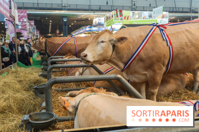 Salon de l'agriculture 2023